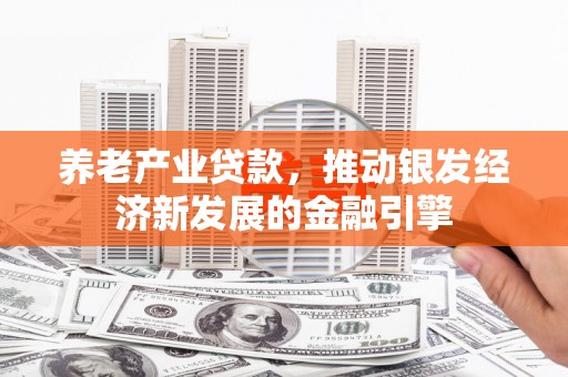 边坝养老产业贷款，推动银发经济新发展的金融引擎