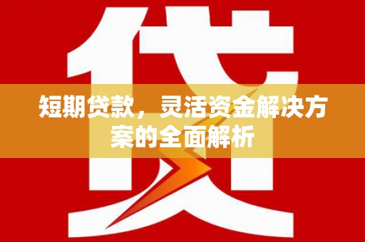 边坝短期贷款，灵活资金解决方案的全面解析