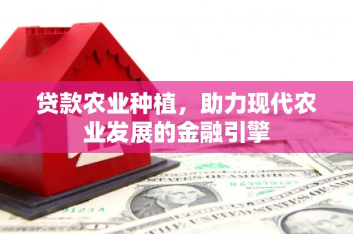 边坝贷款农业种植，助力现代农业发展的金融引擎