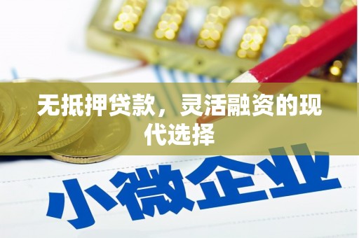 边坝无抵押贷款，灵活融资的现代选择