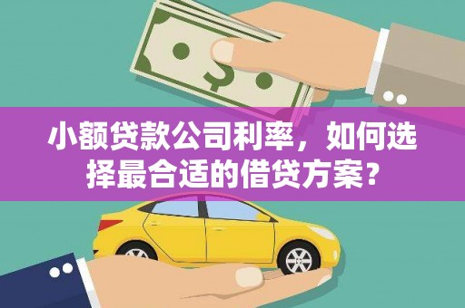 边坝小额贷款公司利率，如何选择最合适的借贷方案？