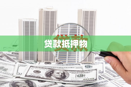 边坝贷款抵押物