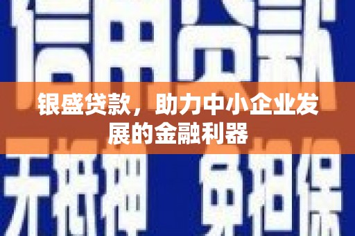 边坝银盛贷款，助力中小企业发展的金融利器