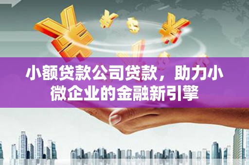边坝小额贷款公司贷款，助力小微企业的金融新引擎