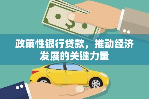 边坝政策性银行贷款，推动经济发展的关键力量