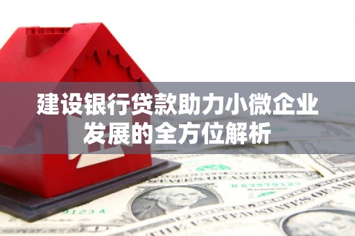 边坝建设银行贷款助力小微企业发展的全方位解析