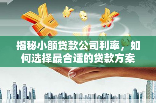 边坝揭秘小额贷款公司利率，如何选择最合适的贷款方案