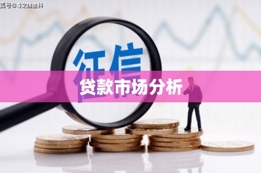 边坝贷款市场分析