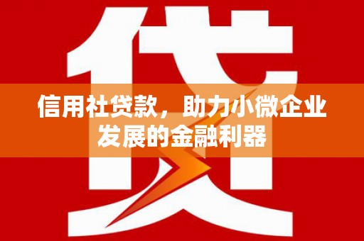 边坝信用社贷款，助力小微企业发展的金融利器