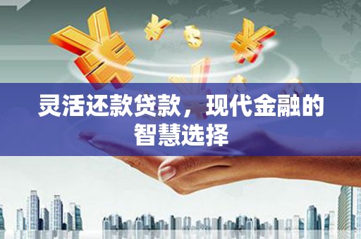 边坝灵活还款贷款，现代金融的智慧选择