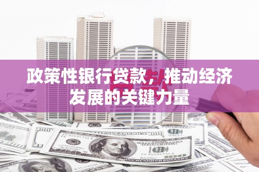 边坝政策性银行贷款，推动经济发展的关键力量