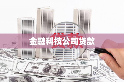 边坝金融科技公司贷款