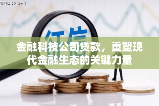 边坝金融科技公司贷款，重塑现代金融生态的关键力量