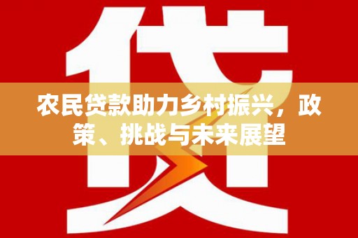 边坝农民贷款助力乡村振兴，政策、挑战与未来展望