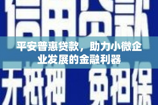 边坝平安普惠贷款，助力小微企业发展的金融利器