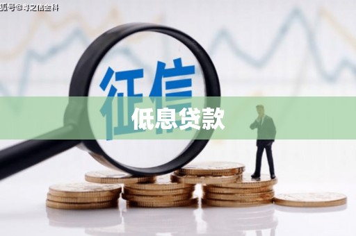 边坝低息贷款