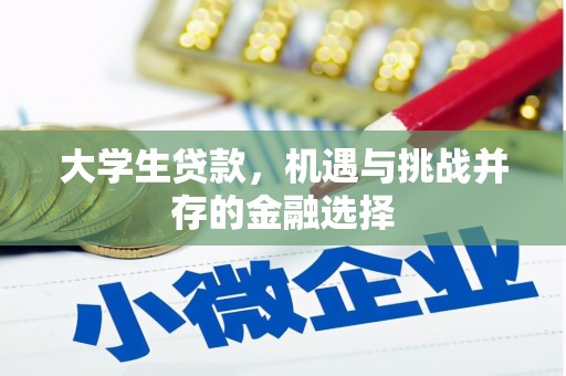 边坝大学生贷款，机遇与挑战并存的金融选择