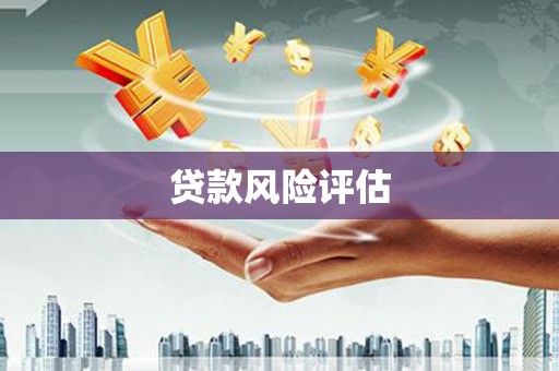 边坝贷款风险评估