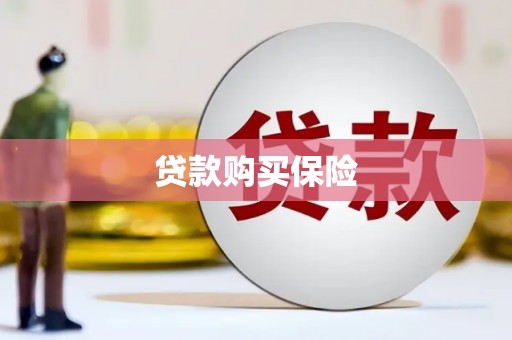 边坝贷款购买保险