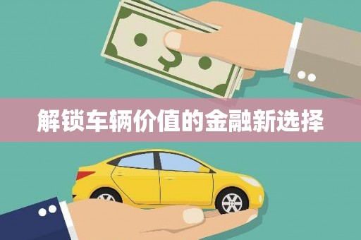 边坝解锁车辆价值的金融新选择