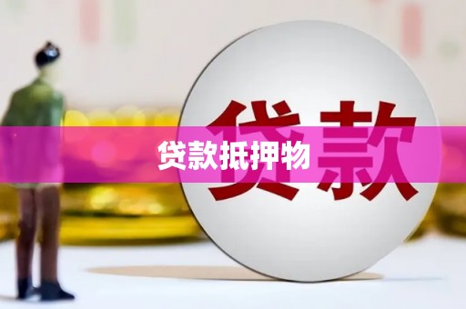 边坝贷款抵押物