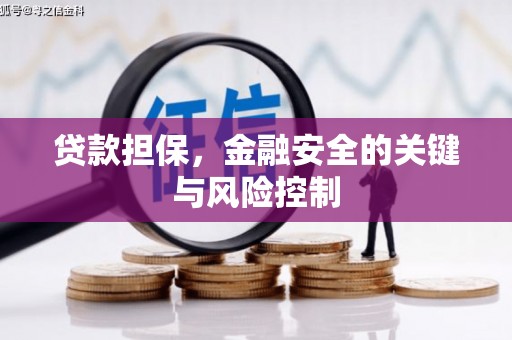 边坝贷款担保，金融安全的关键与风险控制