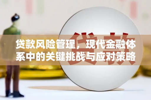 边坝贷款风险管理，现代金融体系中的关键挑战与应对策略