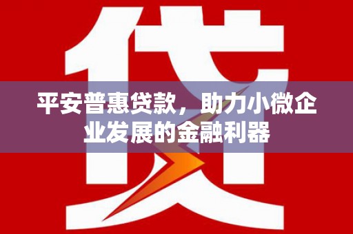 边坝平安普惠贷款，助力小微企业发展的金融利器