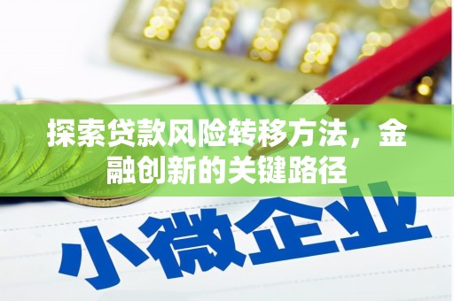 边坝探索贷款风险转移方法，金融创新的关键路径