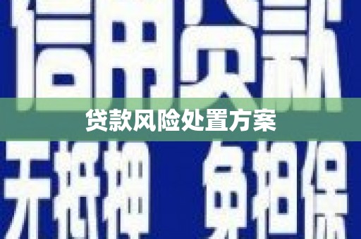 边坝贷款风险处置方案