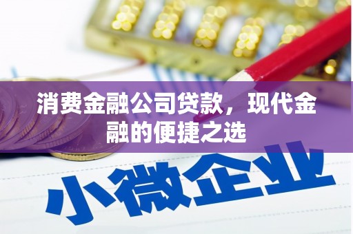 边坝消费金融公司贷款，现代金融的便捷之选