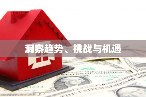 边坝洞察趋势、挑战与机遇