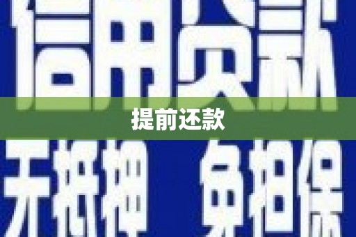 边坝提前还款