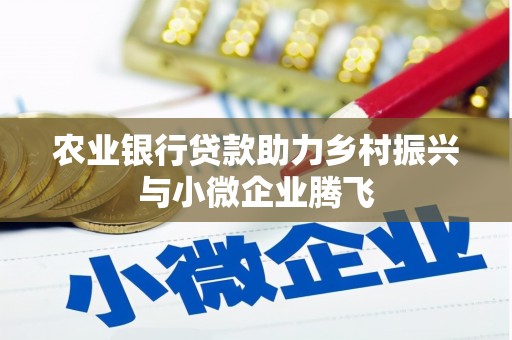边坝农业银行贷款助力乡村振兴与小微企业腾飞