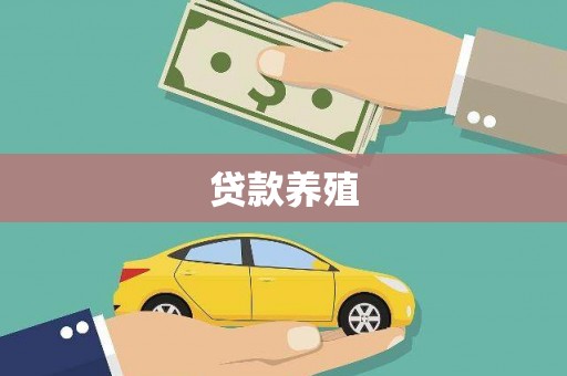 边坝贷款养殖