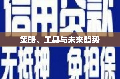 边坝策略、工具与未来趋势
