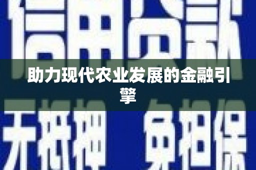 边坝助力现代农业发展的金融引擎