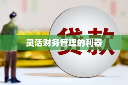 边坝灵活财务管理的利器