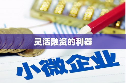 边坝灵活融资的利器