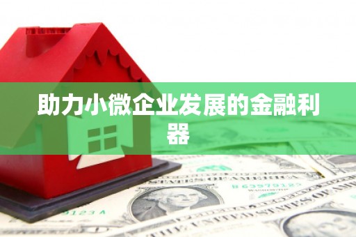 边坝助力小微企业发展的金融利器