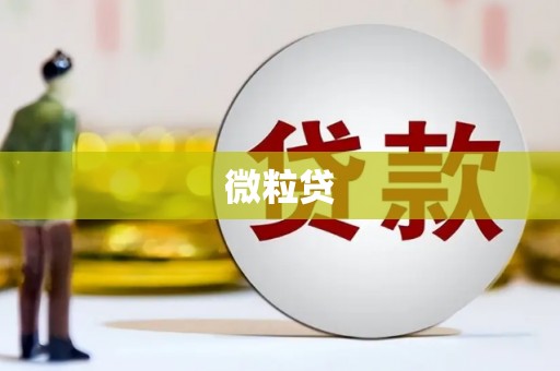 边坝微粒贷