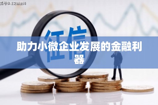 边坝助力小微企业发展的金融利器
