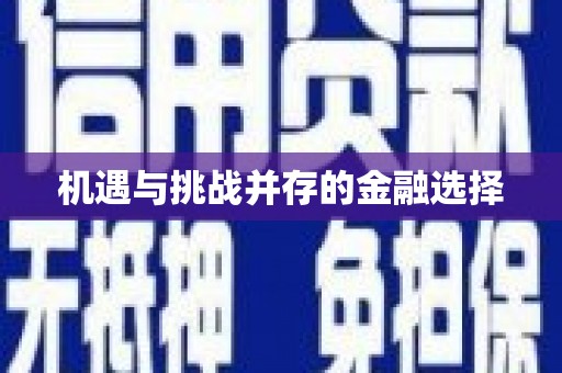 边坝机遇与挑战并存的金融选择