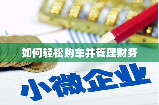 边坝如何轻松购车并管理财务