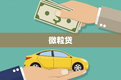 边坝微粒贷