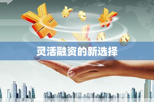 边坝灵活融资的新选择