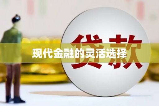 边坝现代金融的灵活选择