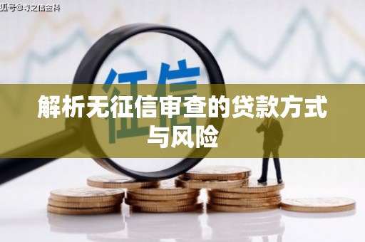 边坝解析无征信审查的贷款方式与风险