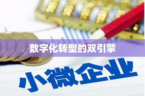 边坝数字化转型的双引擎