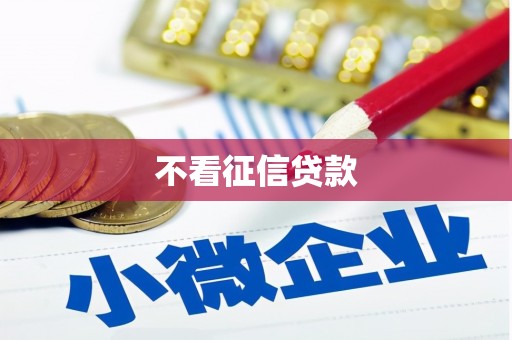 边坝不看征信贷款
